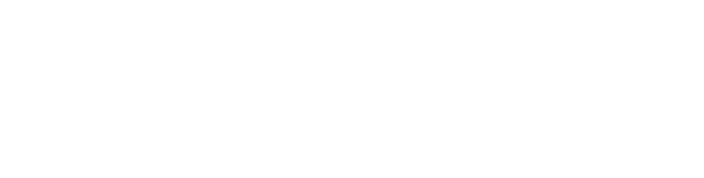 FOREXLIONS CHARGE